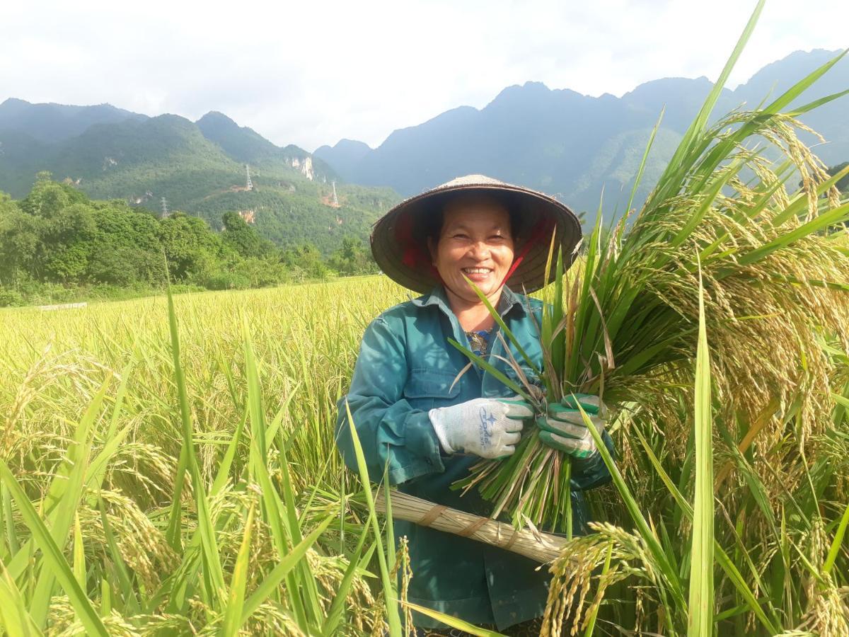 Truong Huy Homestay Mai Châu Luaran gambar