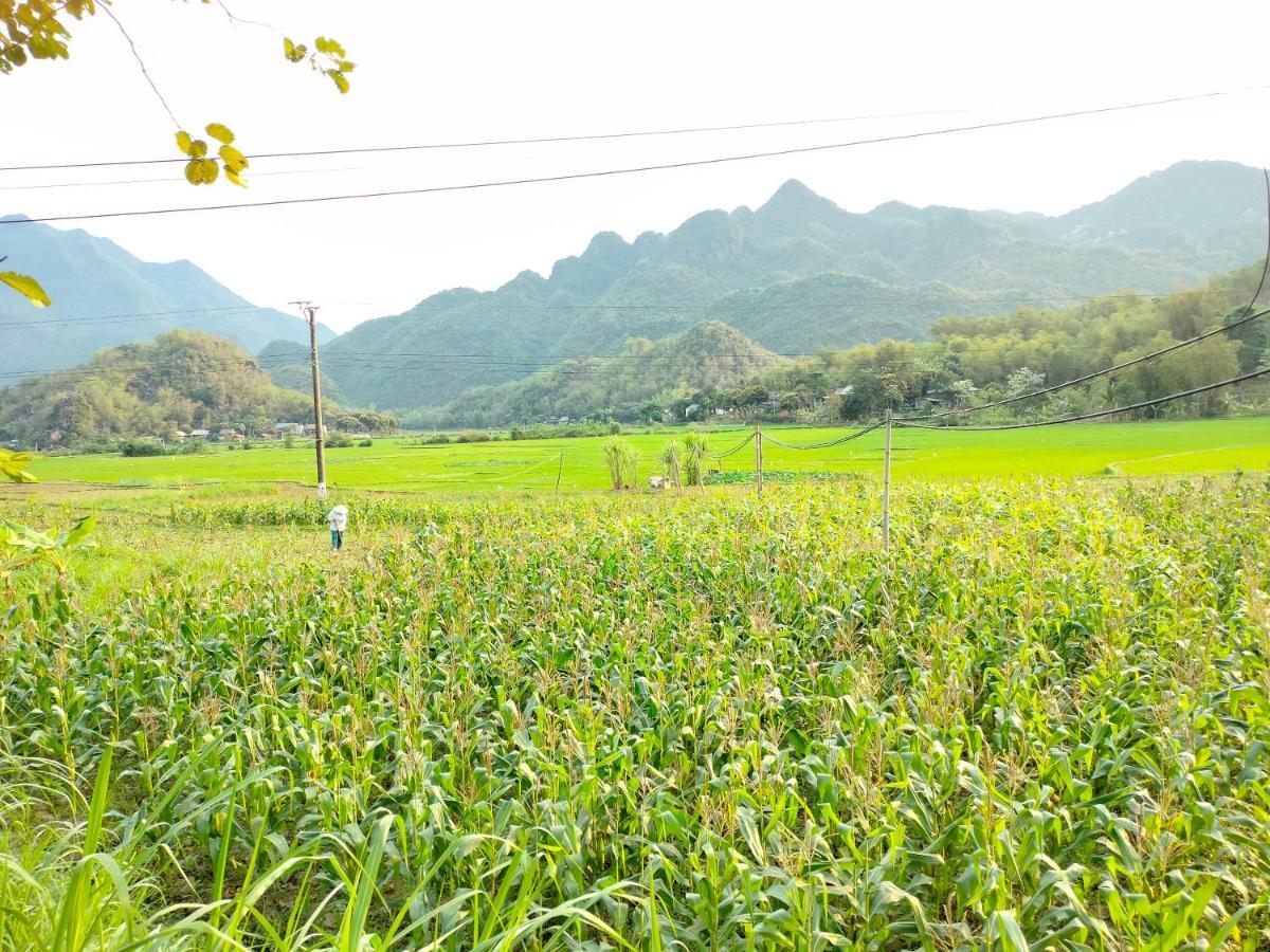 Truong Huy Homestay Mai Châu Luaran gambar