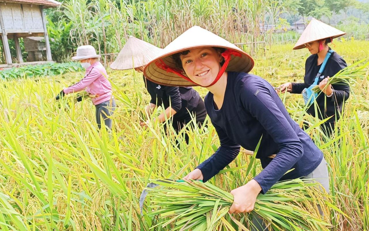 Truong Huy Homestay Mai Châu Luaran gambar