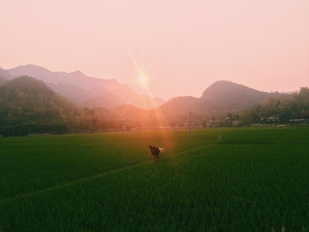 Truong Huy Homestay Mai Châu Luaran gambar